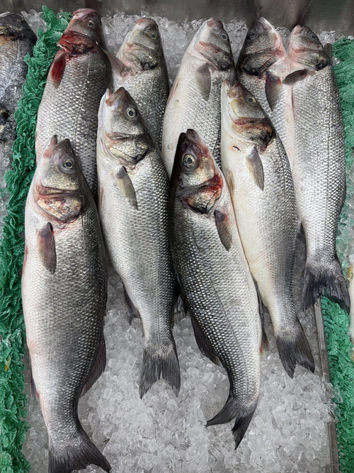 Whole branzino on ice at the CaviarNY counter