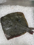 Whole kambala flatfish on ice